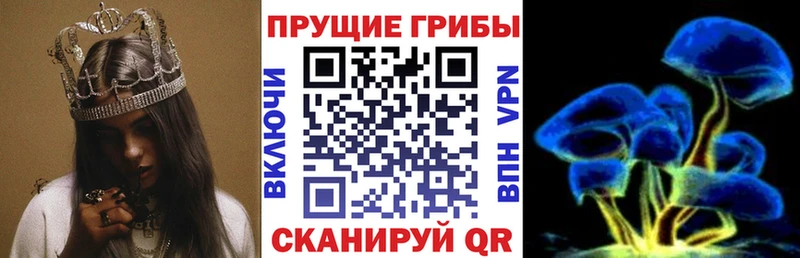 Псилоцибиновые грибы MAGIC MUSHROOMS  Ленинск 
